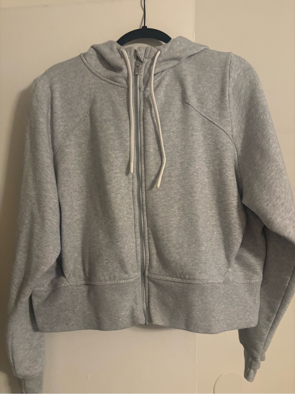 Light Gray Cropped Hoodie